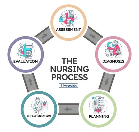 nursing inquiry process models